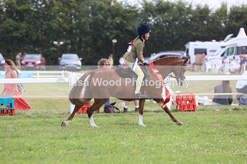 JPP_4819 - Working Hunter Championship