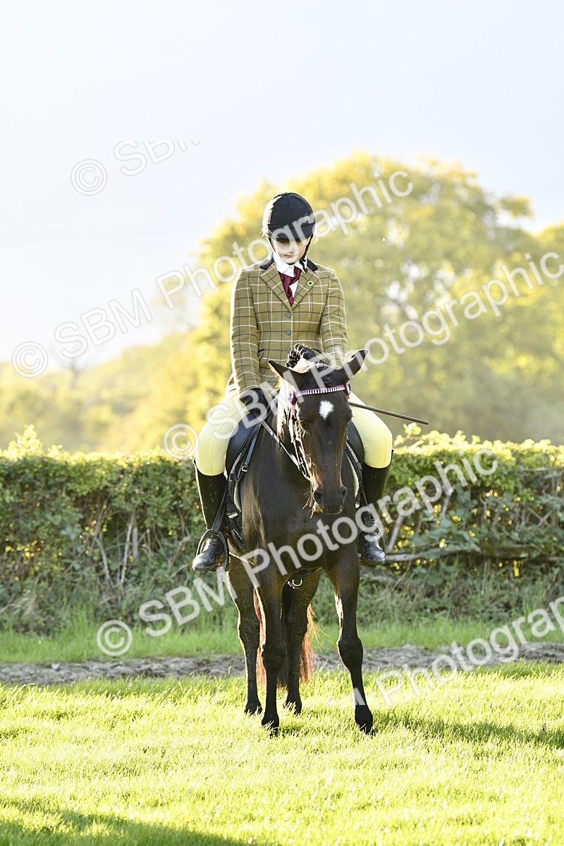 SBM_53583 - S14 - Riding Club Horse