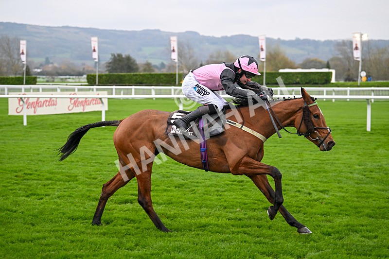 151124-Race 5-Gale Mahler-8459 - Race 5