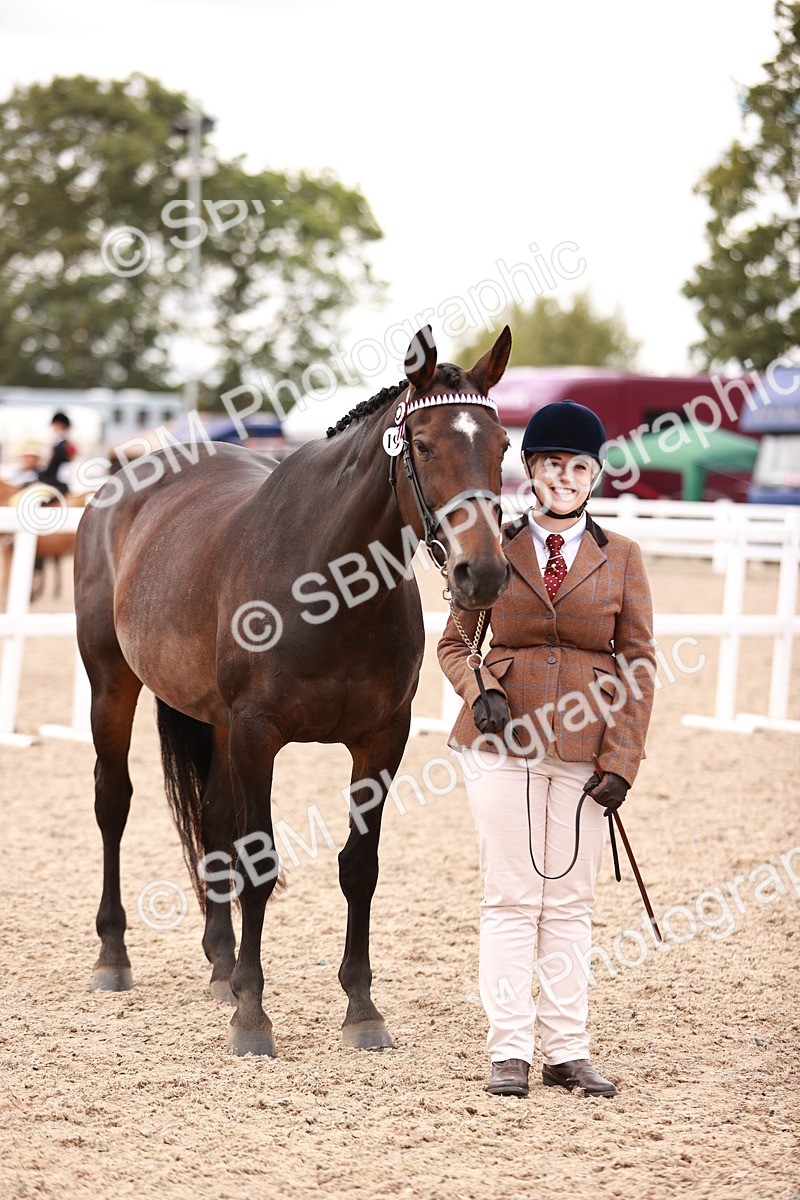 SBM_16133 - Class 411 - Prettiest Mare - (IH or Ridden Adult)