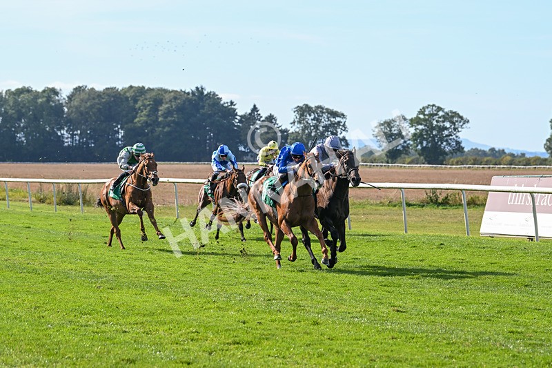 160924-Race 4-Watching Stars-2867 - Race 4