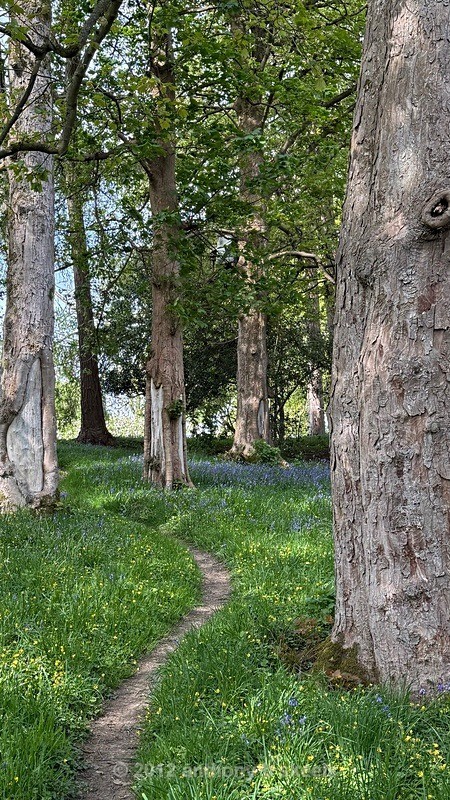 012 After leaving Pateley and the steep cilimb a level path near Eagle - York Minster Walkers Collection 2026