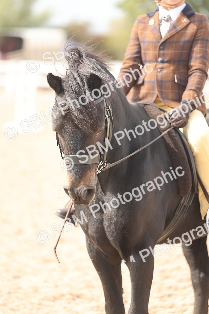 SBM_15893 - Class 310 - First Ridden Pony