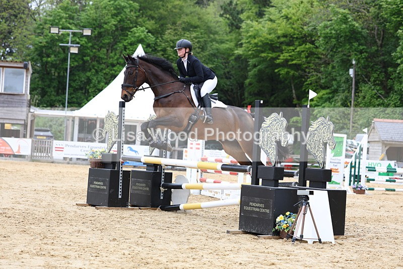 3E7A6097 - Class 4: Senior British Novice/90cm open
