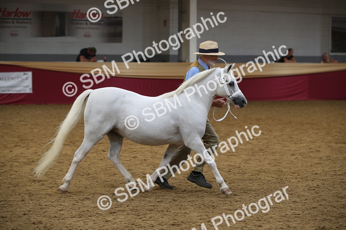 SBM_05676 - Class 9R - Regional IH Pre-Vet
