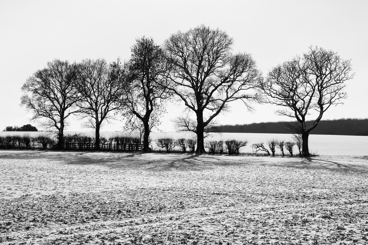 Five on the edge - WINTER