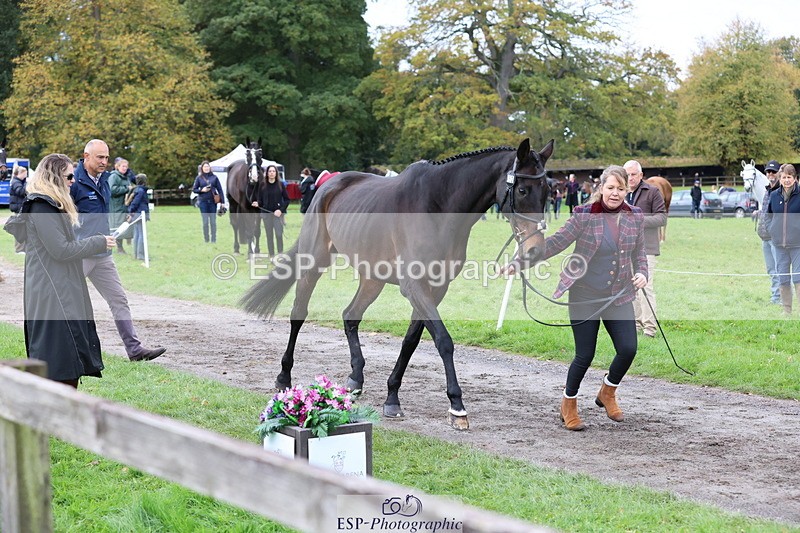 251026A-104628-23254 - F-452-Suzy.Stoneman