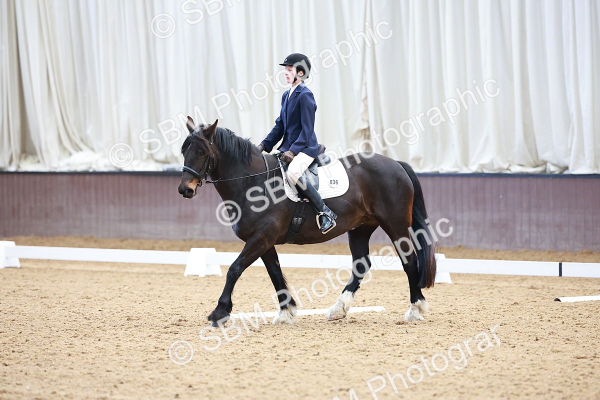 SBM_000393 - Class 3 - Prelim 1
