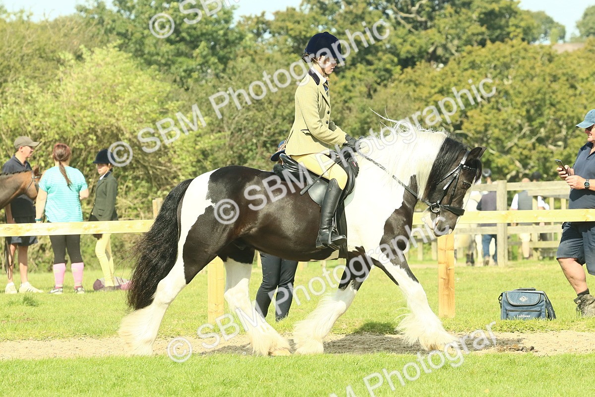 SBM_67420 - S56 - Coloured Pony Ridden