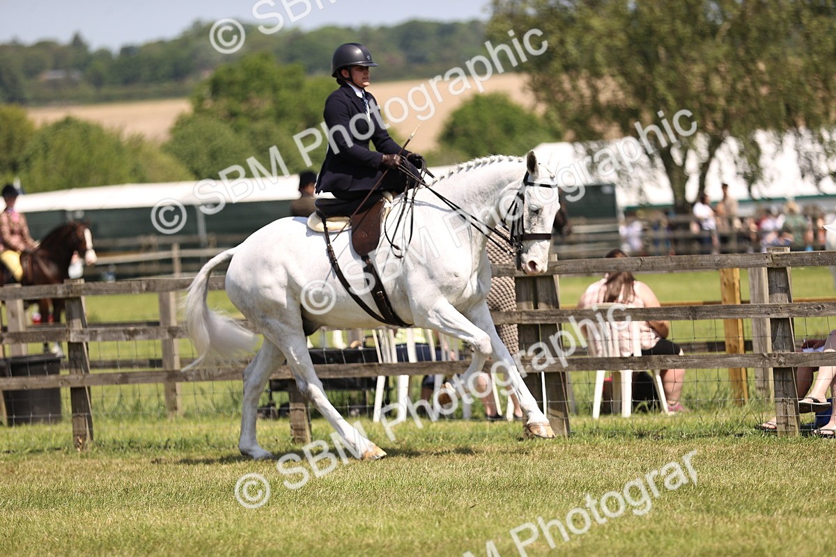SBM_15076 - Class 79-80 - LIHS BSHA Rising Star Ridden Hunter