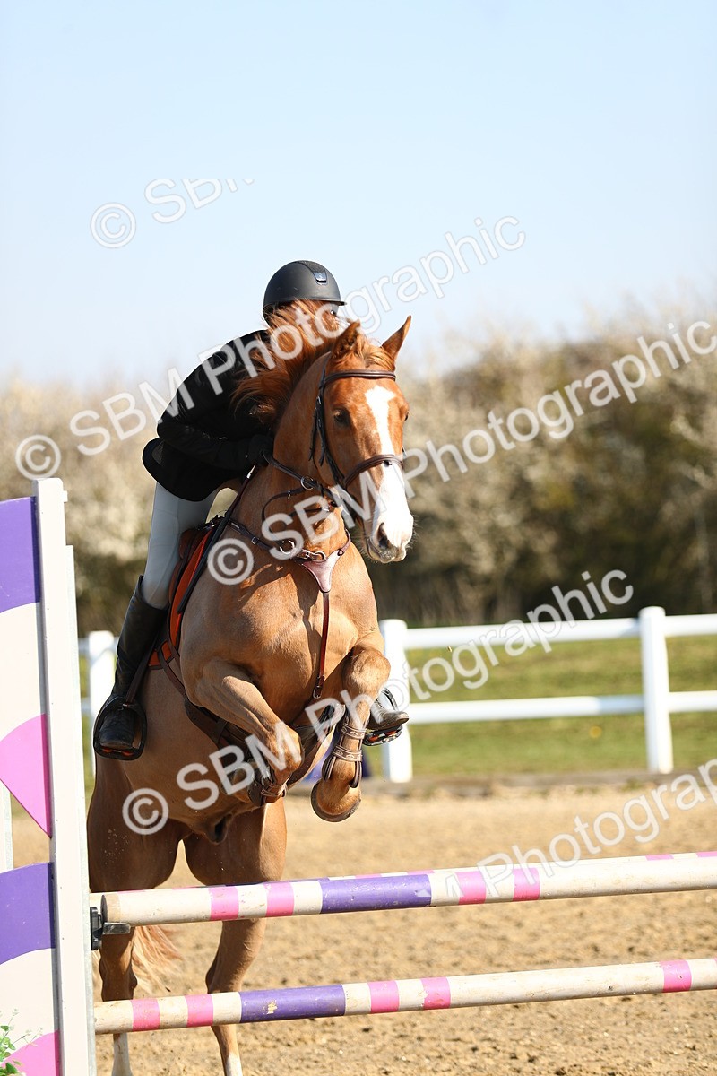 SBM_000103 - Class 2 - Senior British Novice - 90cm