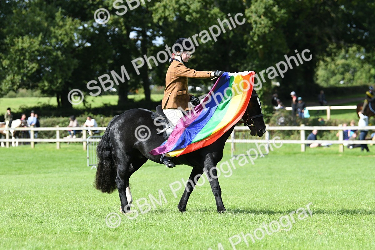 SBM_47056 - S12 - Family Horse & Pony