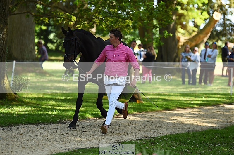 230524-154758-00508 - 363-RLE_KHALEESI_C-Christopher_Wincer-WEDTrotUp+DR