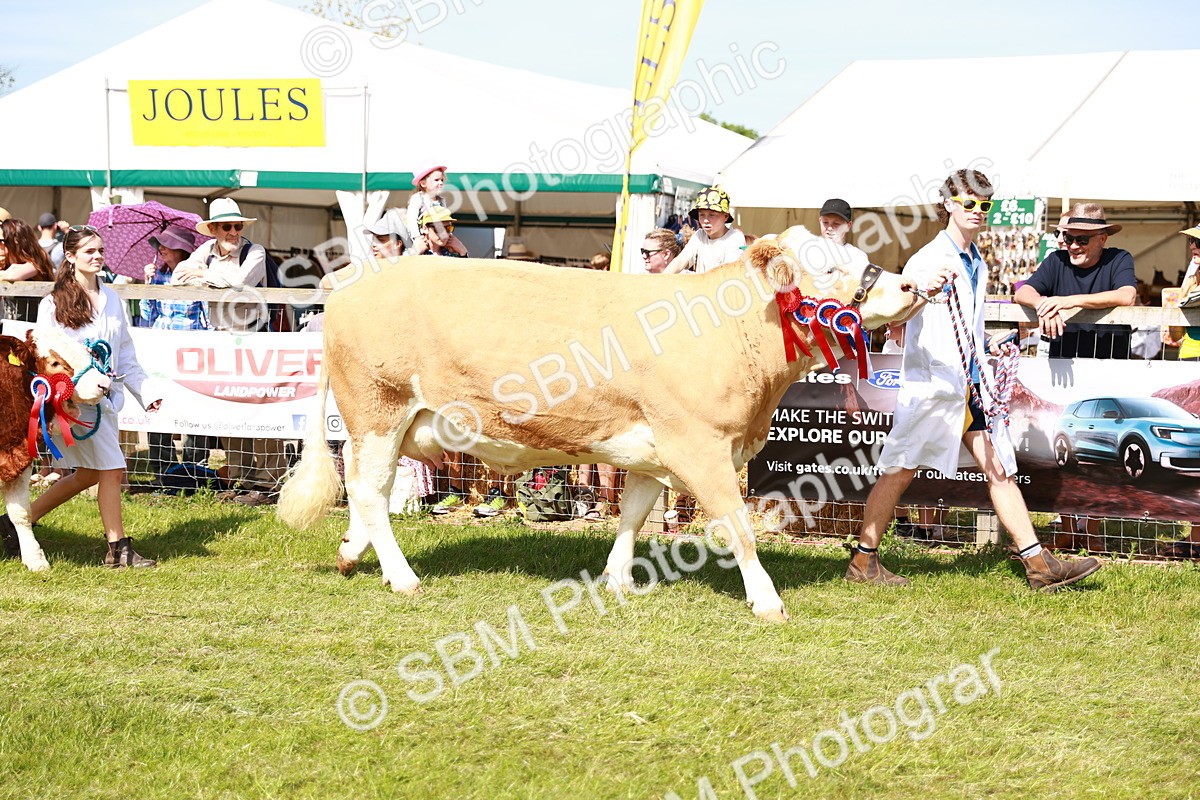 SBM_08355 - Grand Parade