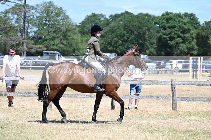 WJ7_2851 - Class 7 Riding Club Show Horse