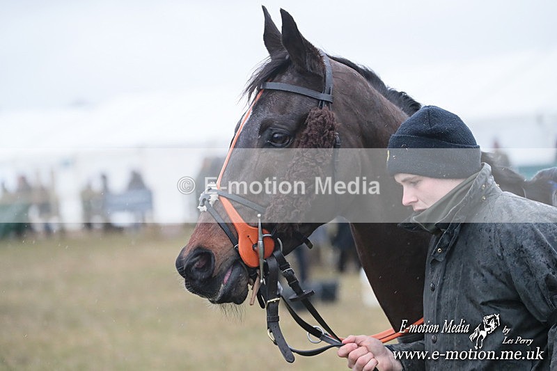 PtP 260125 144 - Cocklebarrow Point-to-Point racing with the Heythrop Hunt 26/01/25