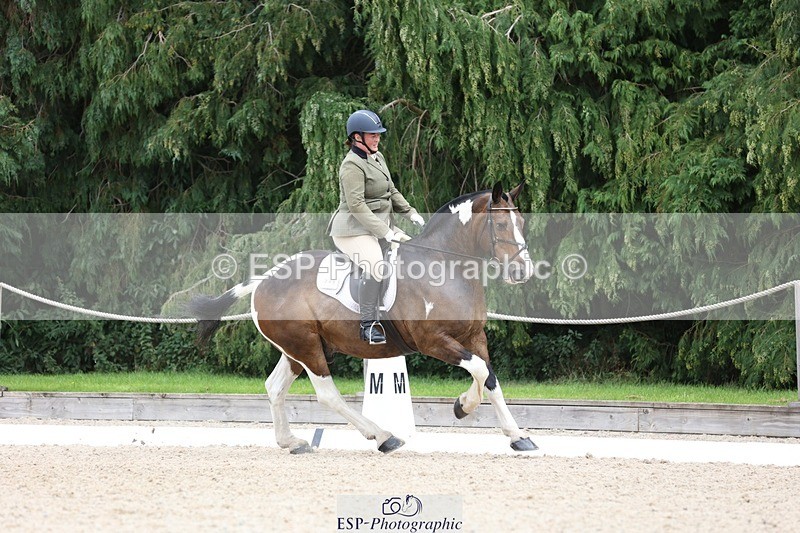 230813-131838-07310 - Cls 11 Elem Bronze 13.15 to 14.10 break