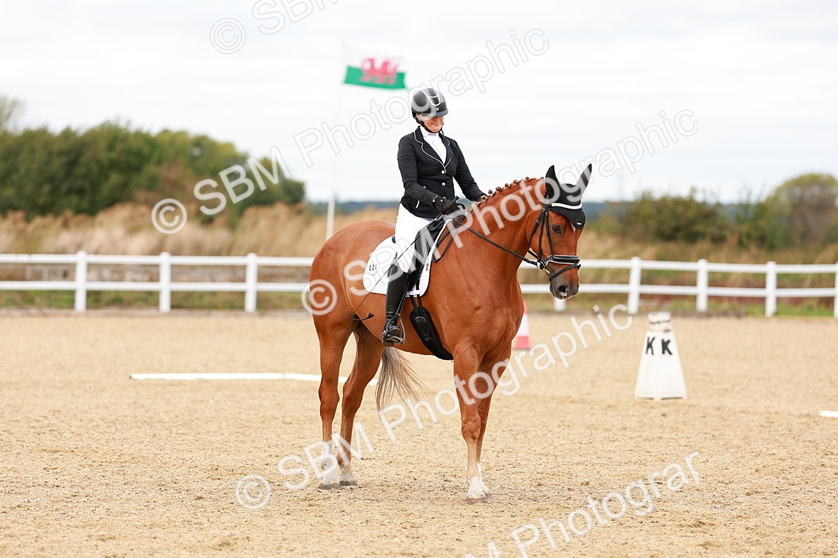 SBM_001887 - Class 5-6 - Novice 3-Elem 3