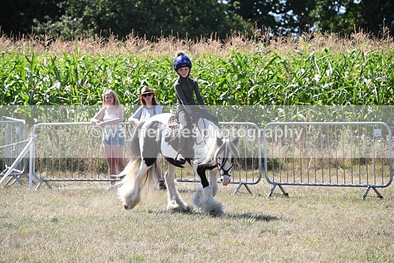 WJ6_8962 - Class 38 Ridden Riding Horse/Pony