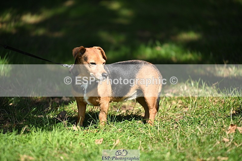 240729B-105410-02166 - Hamlin Cup and Group Photos