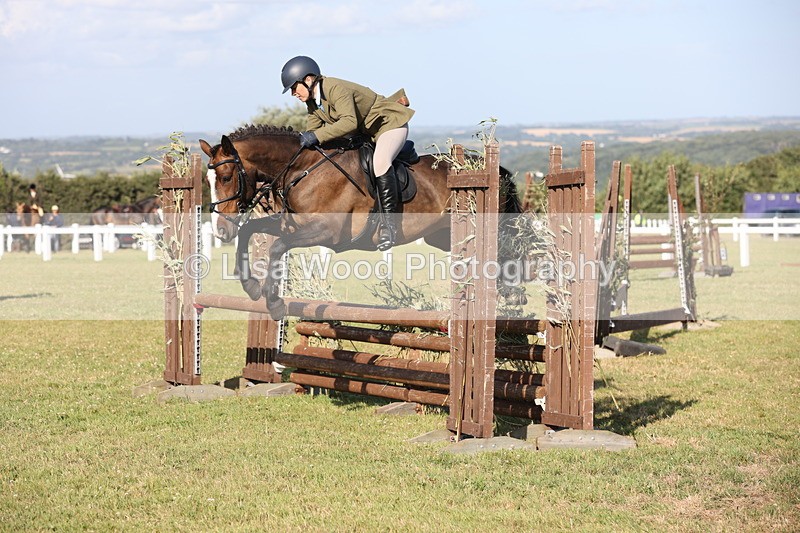 JPP_3138 - Class 21: Working Hunter 80cm