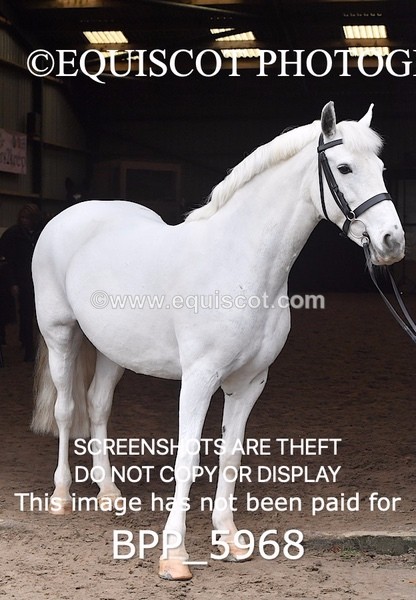 BPP_5968 - Erin Hancock ×2