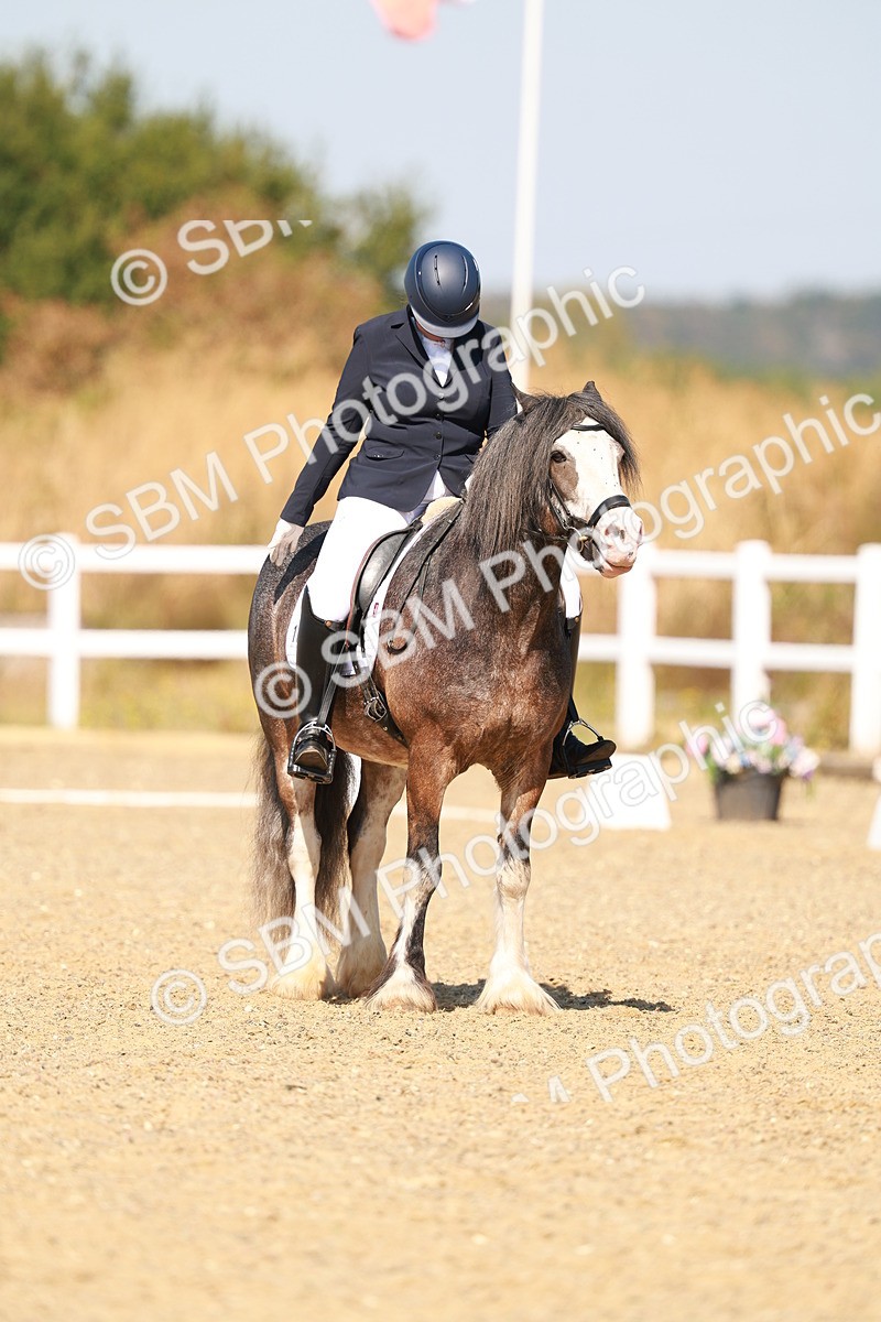 SBM_017810 - Class 9 - N5 Bronze 10.33.11.36