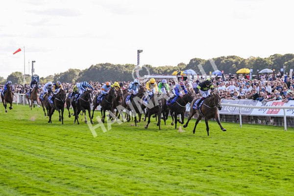 240824-Race 4-Magical Zoe-1636 - Race 4 3.35pm Sky Bet Ebor Handicap