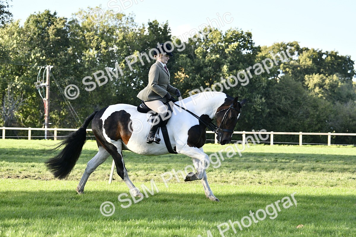 SBM_53505 - S14 - Riding Club Horse