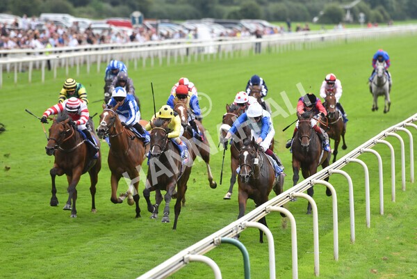 yr20082021r1-28 - Race 1 1.50pm Sky Bet Stakes