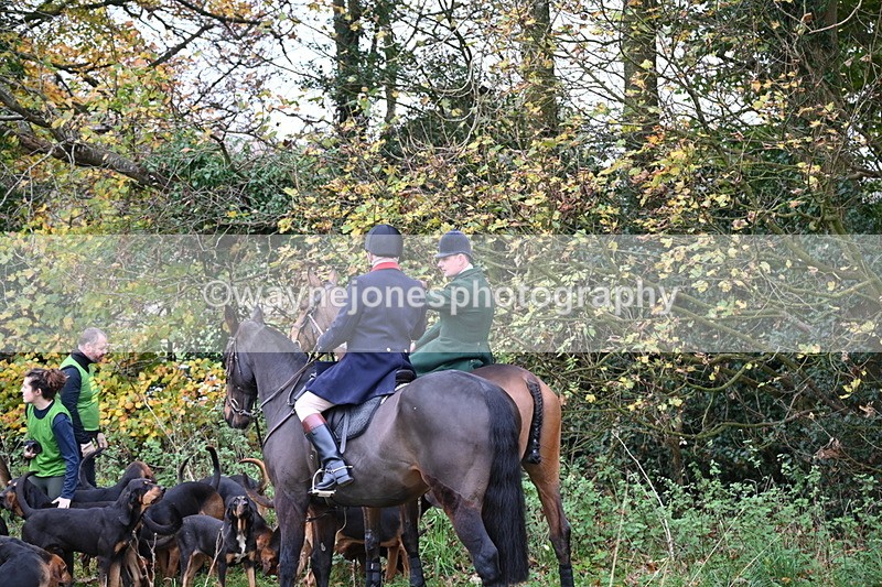 WJ6_8596 - Meet