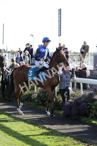 yr08102022r5-8 - Race 5 3.50pm The Coral Committed To Safer Gambling EBFStallions.com Maiden Stakes