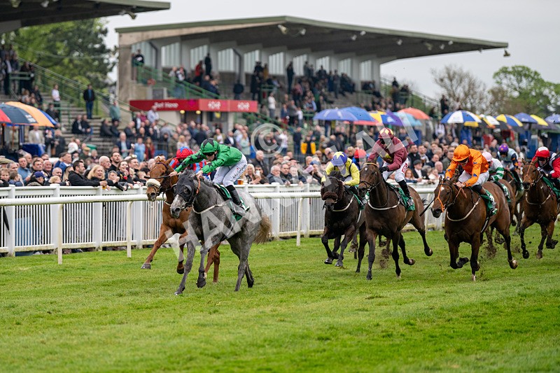 040524-Race 4-Star Of Lady M-4492 - Race 4