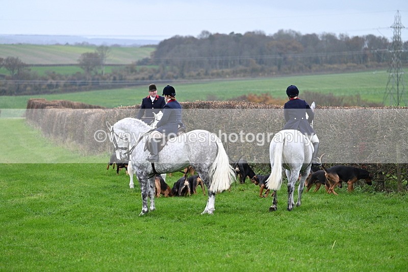 WJ7_8776 - Meet Staff & Hounds