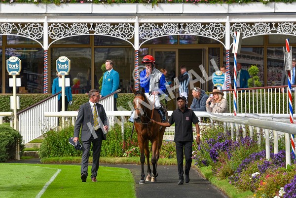 230923-Race 1-Invincible Molly-5883 - Race 1 2.00pm Jigsaw Sports Branding EBF Fillies' Novice Stakes