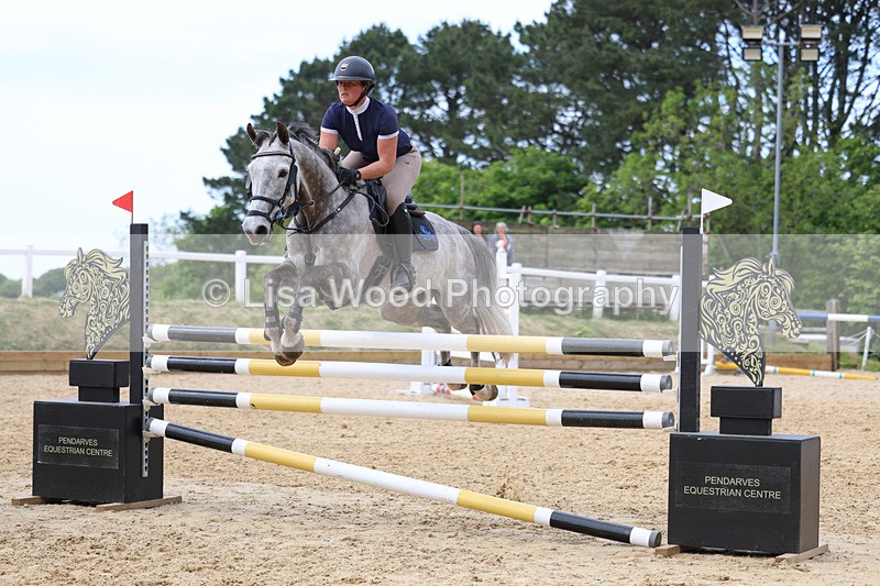 3E7A7414 - Class 8: Senior Foxhunter/1.20 open