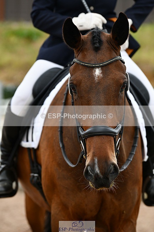 250705-151150-05252 - E1 Section BDE1 14.46 to 15.42