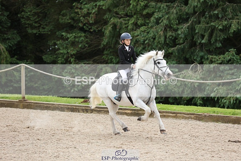 240616-110418-03327 - 60cm