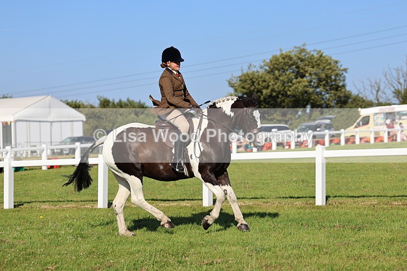 IMG_1373 - Class 28: Ridden Plaited Coloured Pony