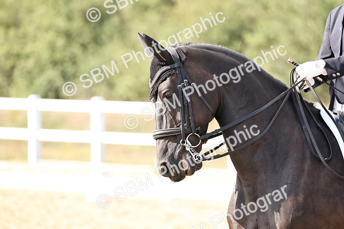 SBM_015392 - Class 9 - Advanced medium 3