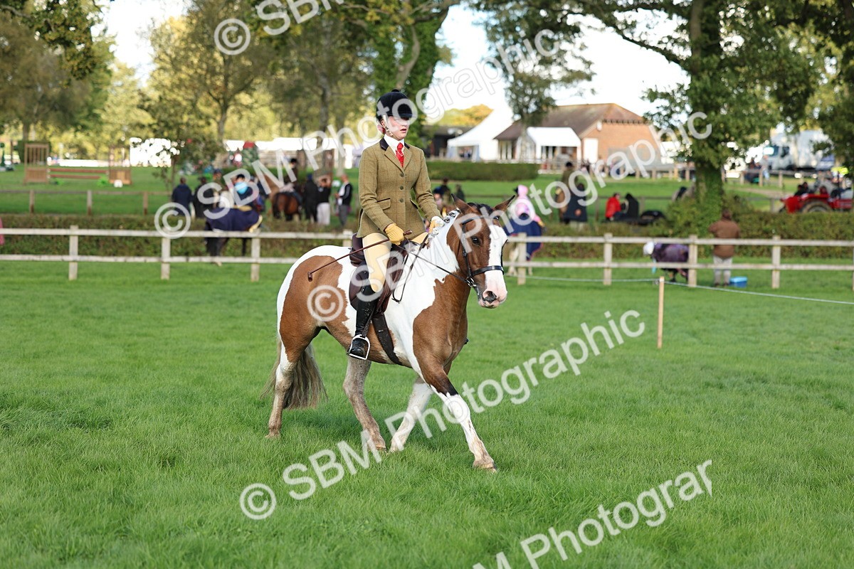 SBM_45488 - S33 - Working Hunter Pony