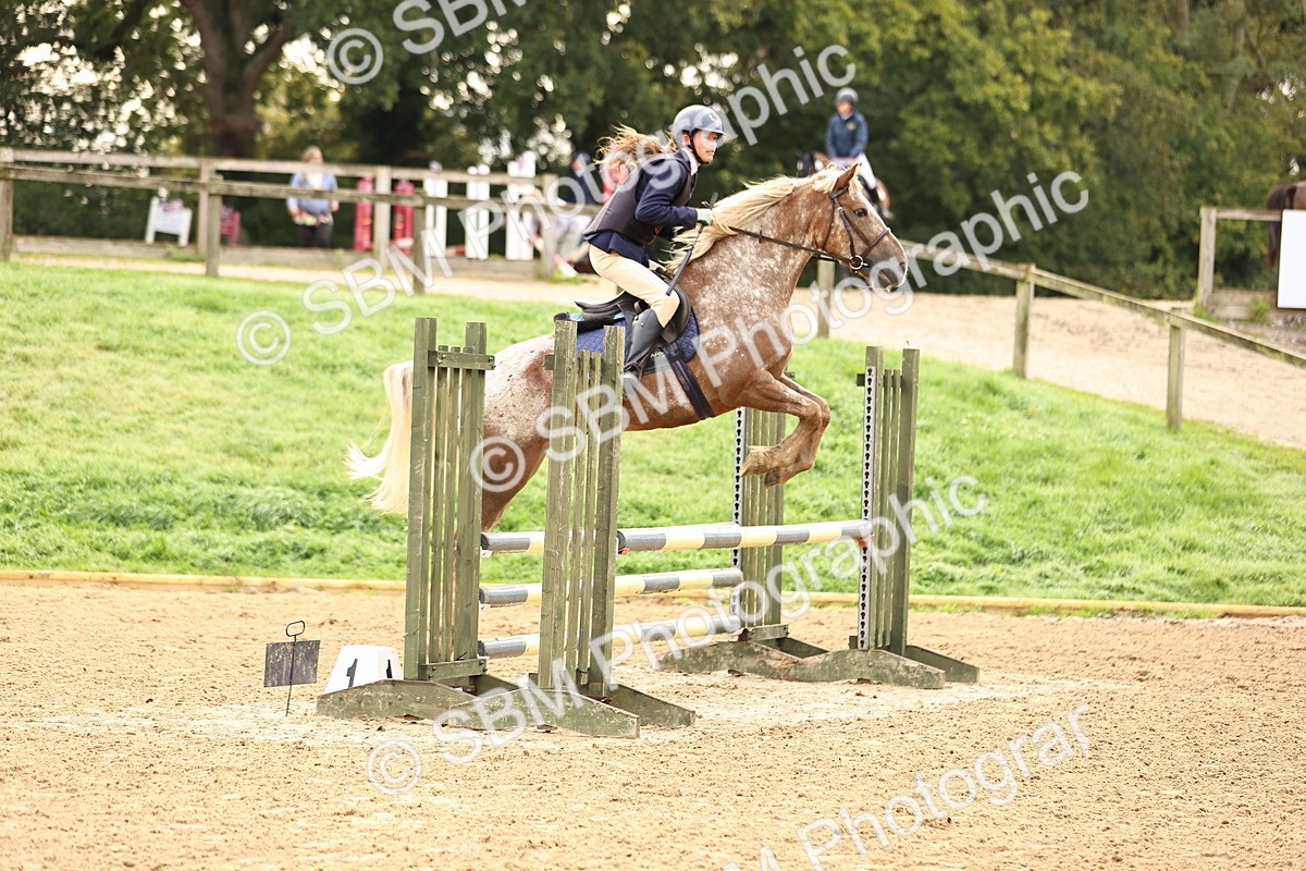 SBM_58405 - J41 - Grand Tour Horse & Pony 95cm