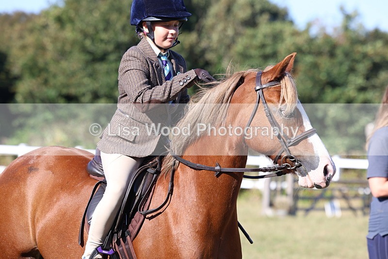 3E7A5365 - Class 2: Working Hunter 60cm