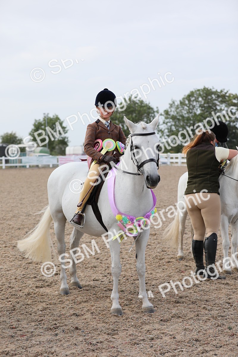 SBM_17056 - Class 314 Family Horse/Pony