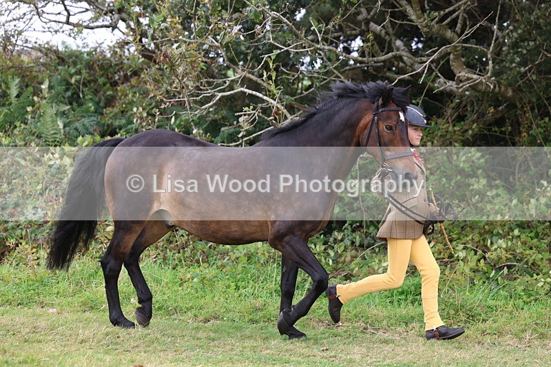 3E7A4618 - Class 16: Best Grass Kept