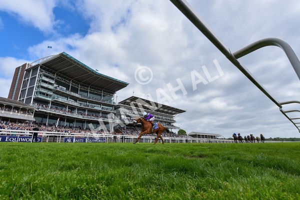 150525-See The Fire-2379 - Race 3 3.13pm Al Basti Equiworld Dubai Middleton Fillies' Stakes
