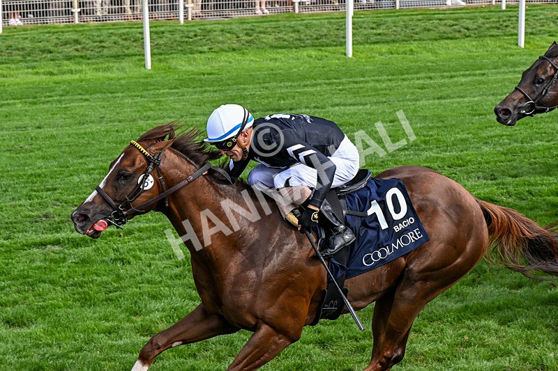 210826-Race 4-Bacio-0261 - Race 4 15.35pm Coolmore City Of Troy Nunthorpe Stakes