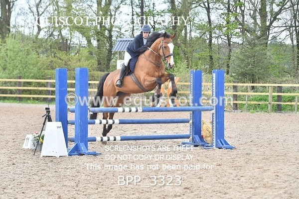 BPP_3323 - CLASS 14 SUN Senior BritiNovice/ 90cm Open