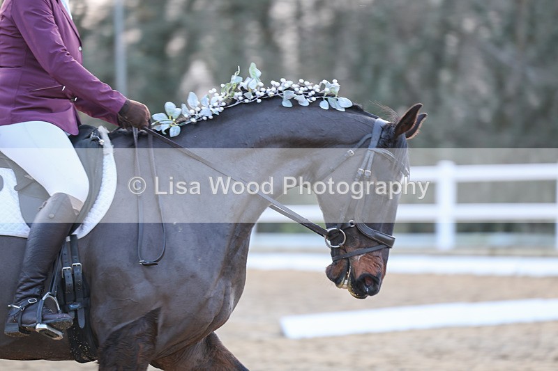 3E7A5068 - Class 5: Novice