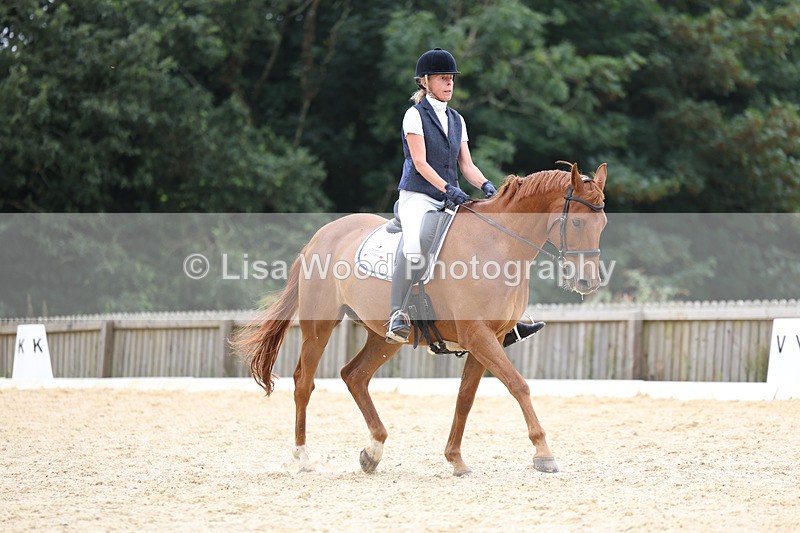 3E7A7239 - Class 9: Elementary 4 2024 - No sections